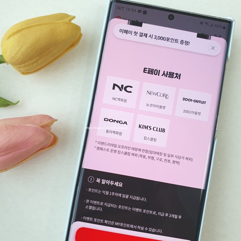 엠패스트평택점 이미지