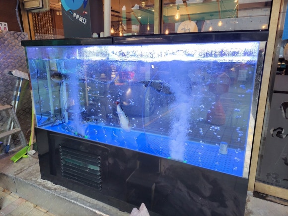 수림복국 이미지