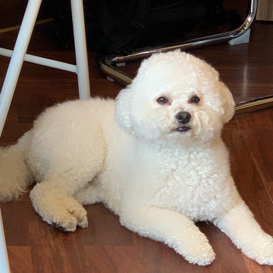 카페이응 이미지