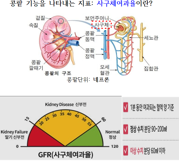 강선우내과의원 이미지