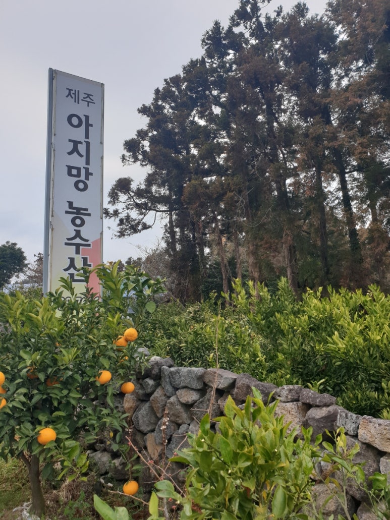 제주아지망농수산 이미지