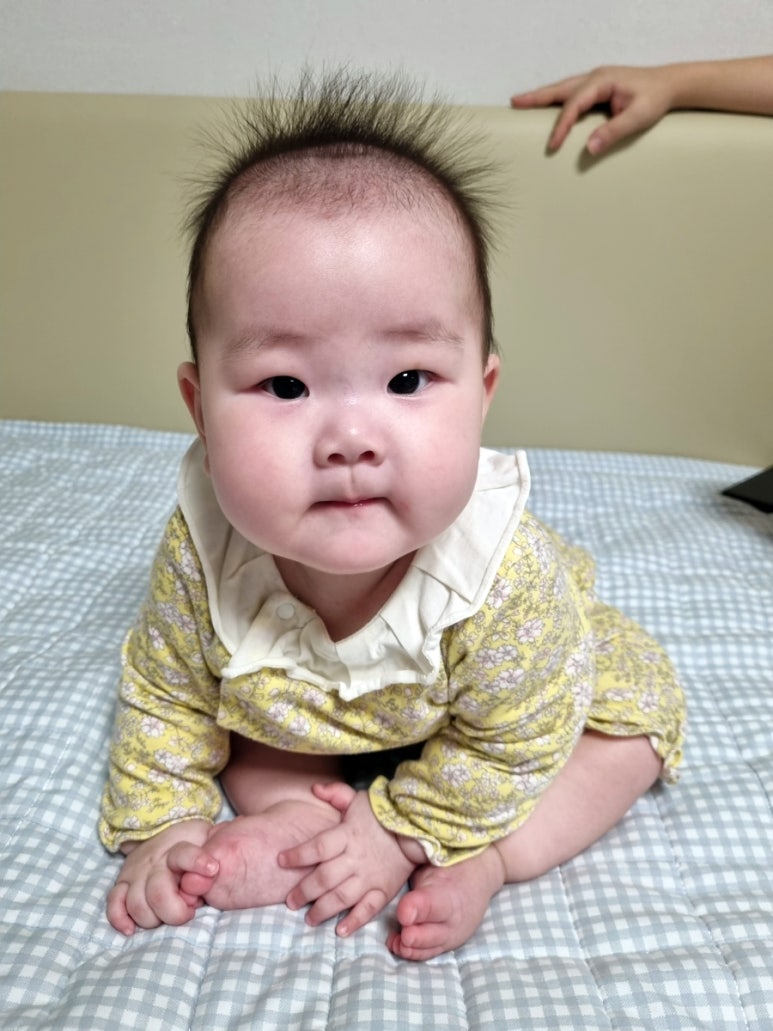빵떡쿵 이미지