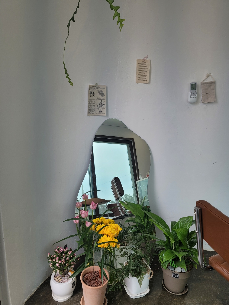 욤디저트샵 이미지