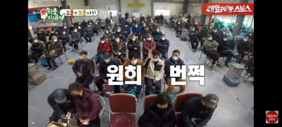 에버만물 이미지