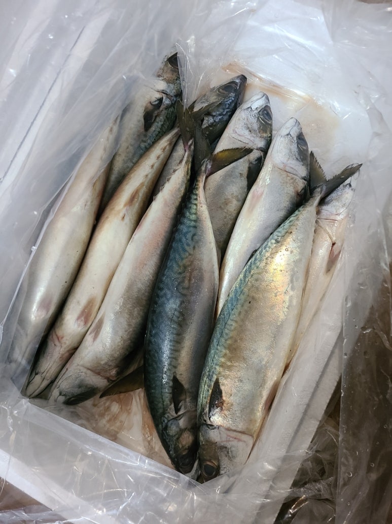 3마치 이미지