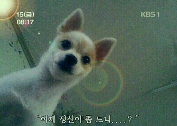 스푼건축 이미지