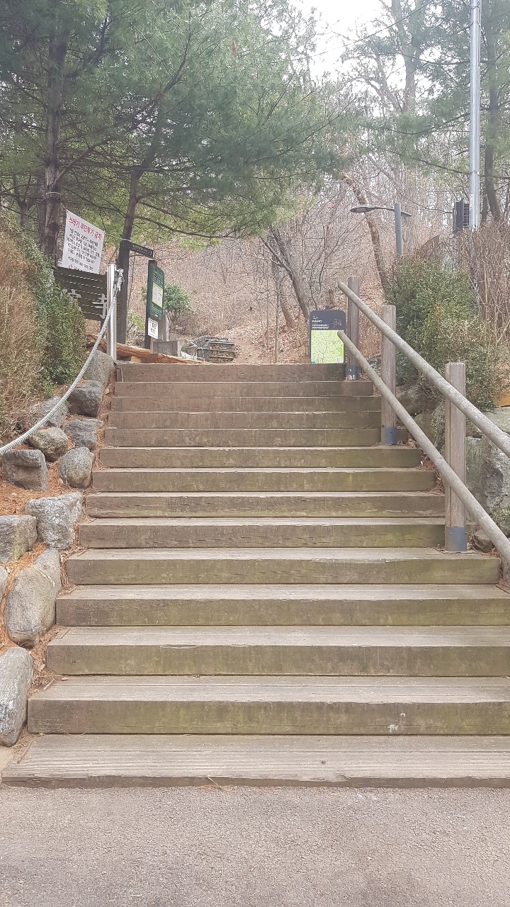개웅산 유아숲체험원 이미지