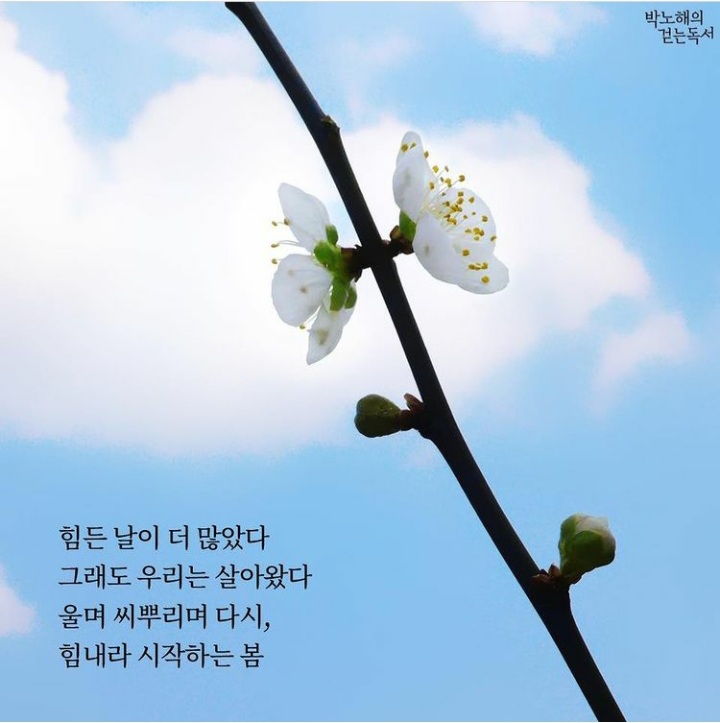 사교육걱정없는세상 이미지