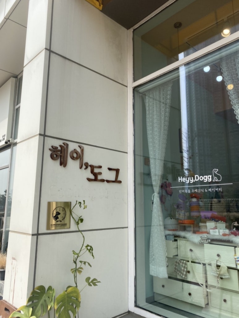 헤이도그 이미지