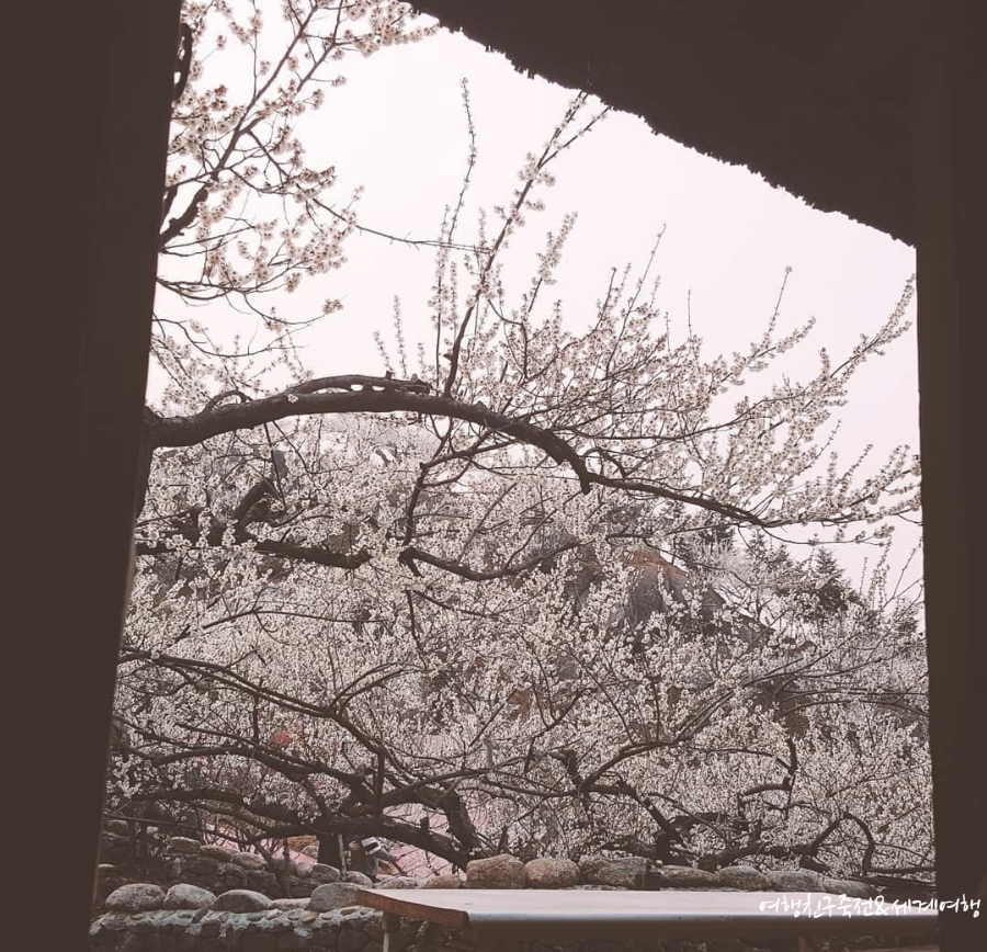 이파리광양 이미지