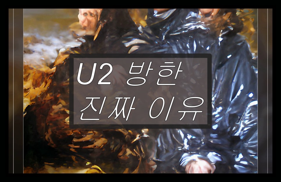 보노트리 이미지