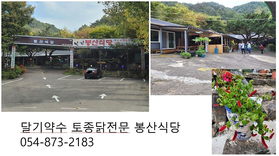 속리산토종닭 이미지