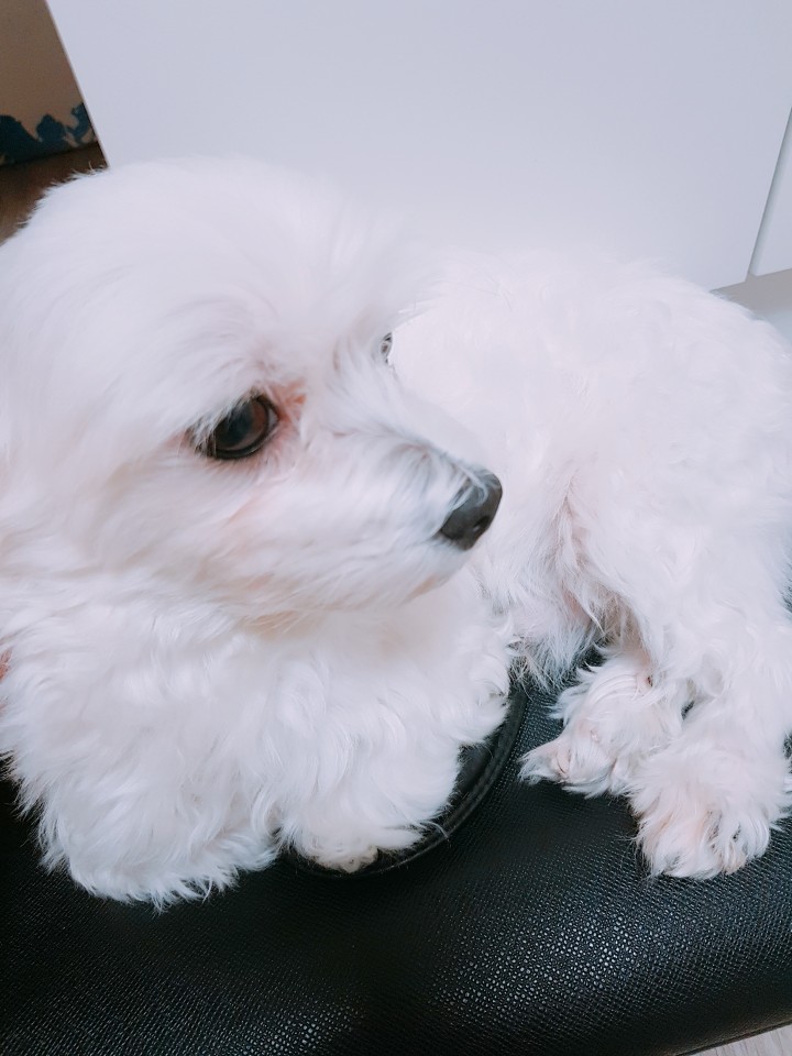다이소김포 이미지