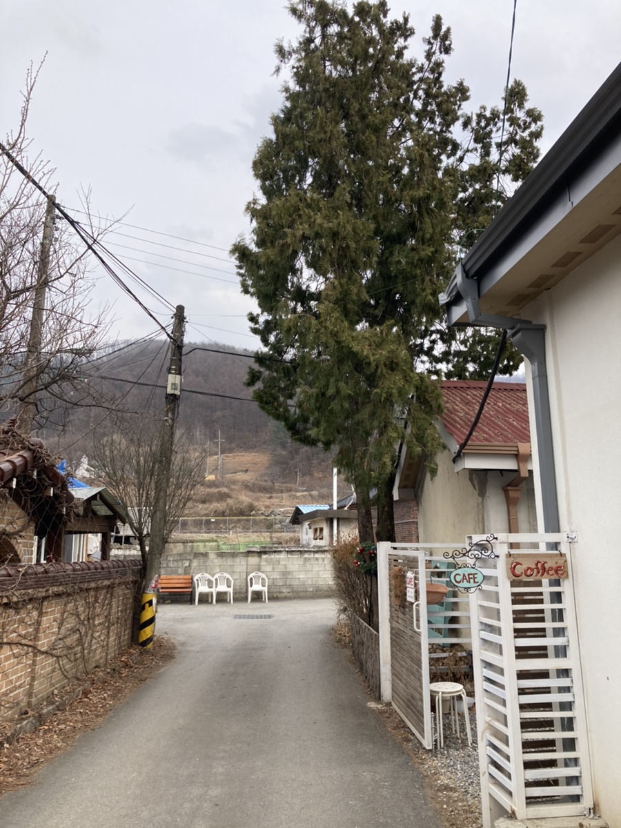 피크닉청평 이미지
