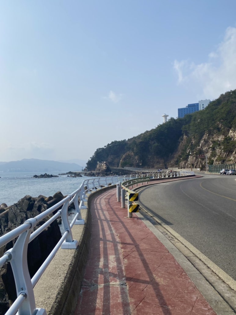 동해자동차운전전문학원 이미지
