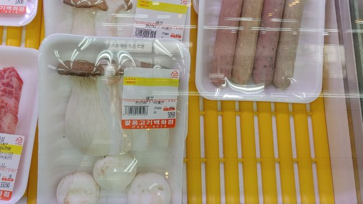팔용고기 이미지