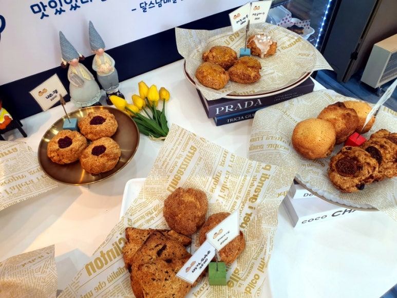 달콘스콘.D 이미지