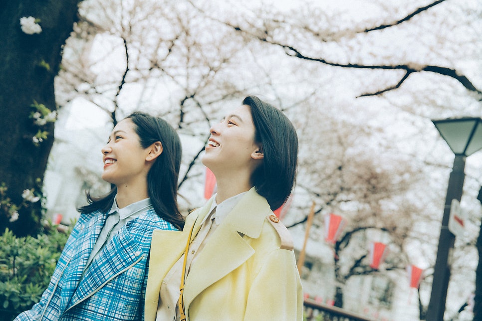 도터스 이미지