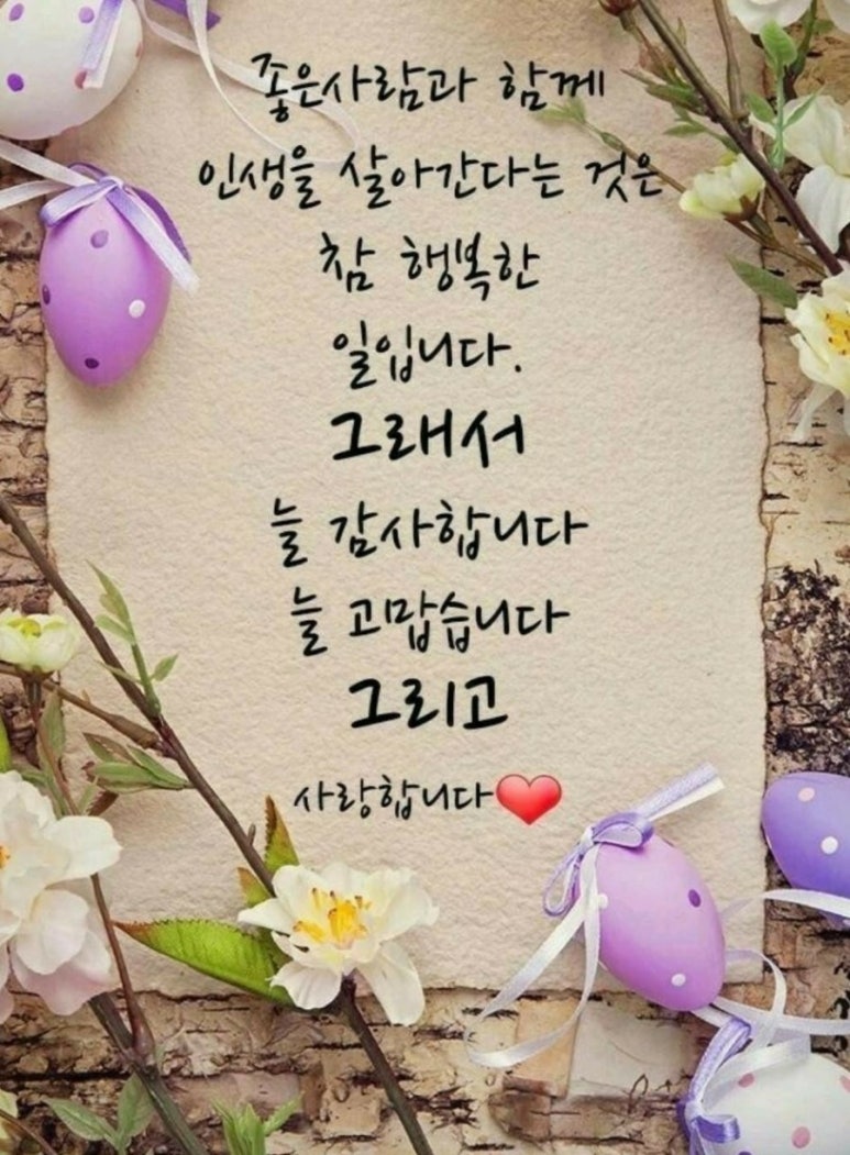 알천지 이미지