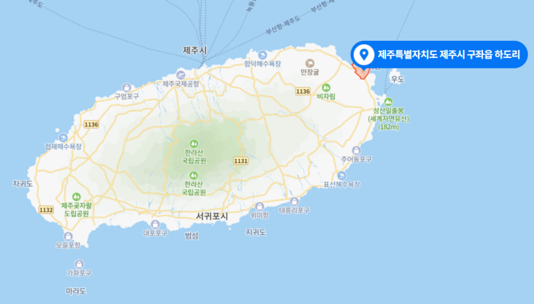 올더버드 이미지
