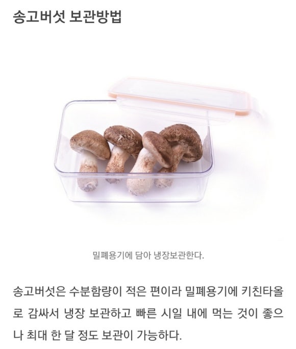 예담농원 이미지