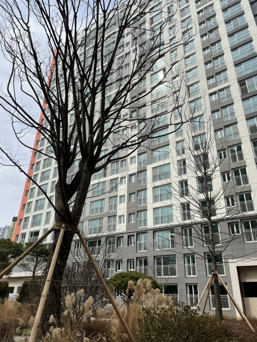 알파타운 이미지