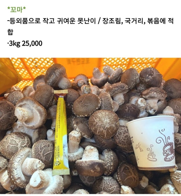 예담농원 이미지