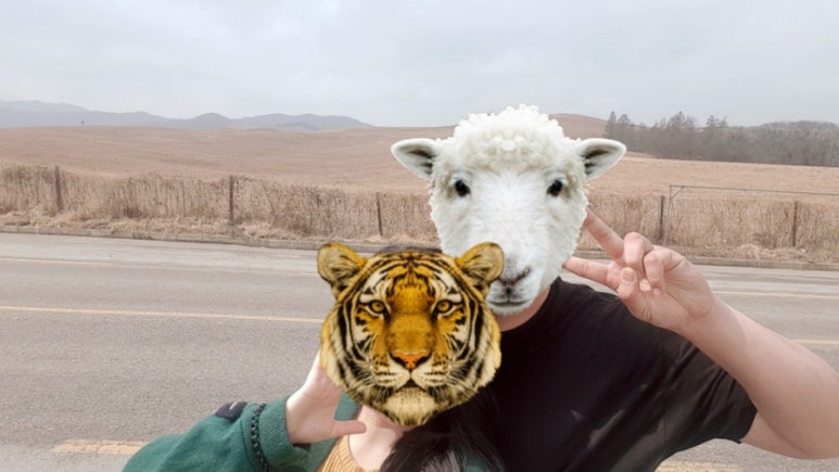 해나루도넛츠 이미지