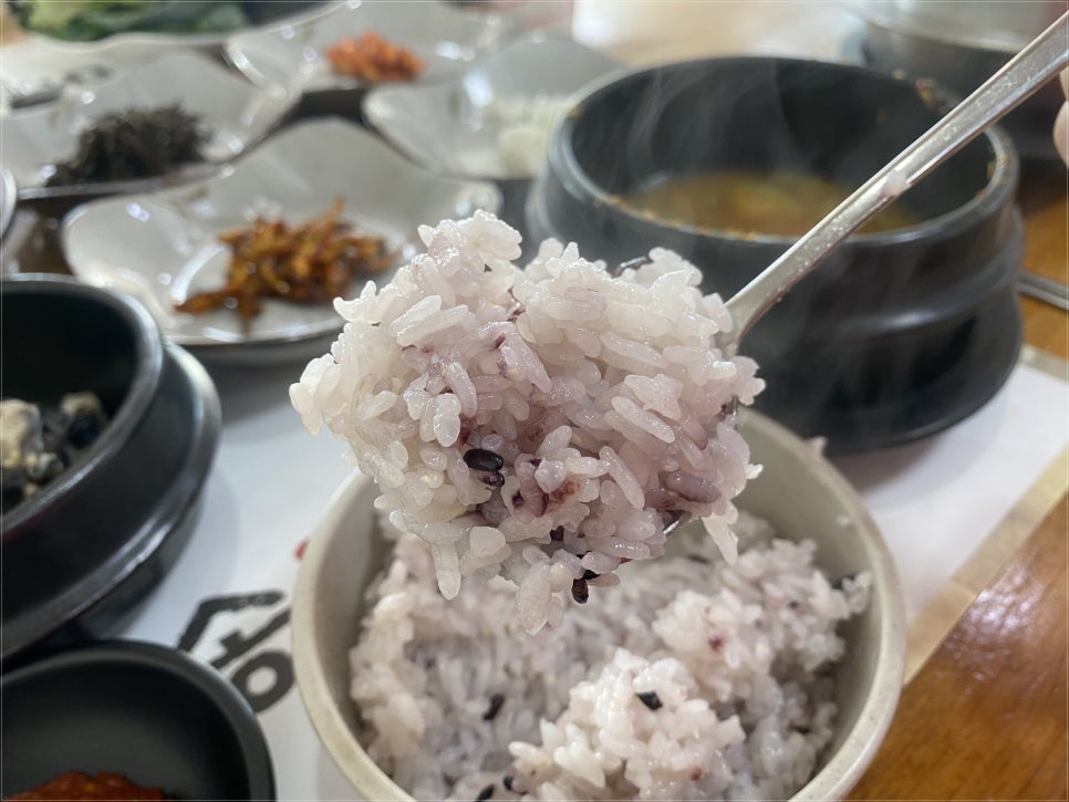 더미송 이미지