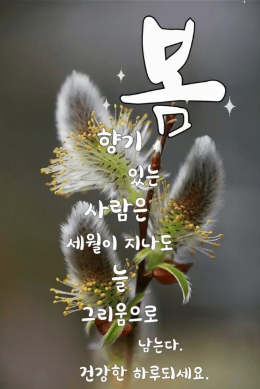 오늘식품 이미지
