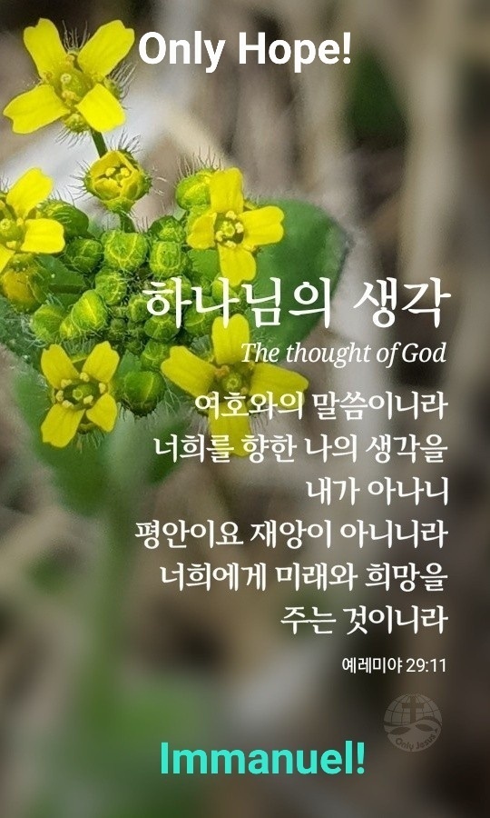 바울복사 이미지