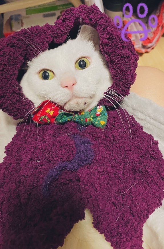 황금물물 이미지