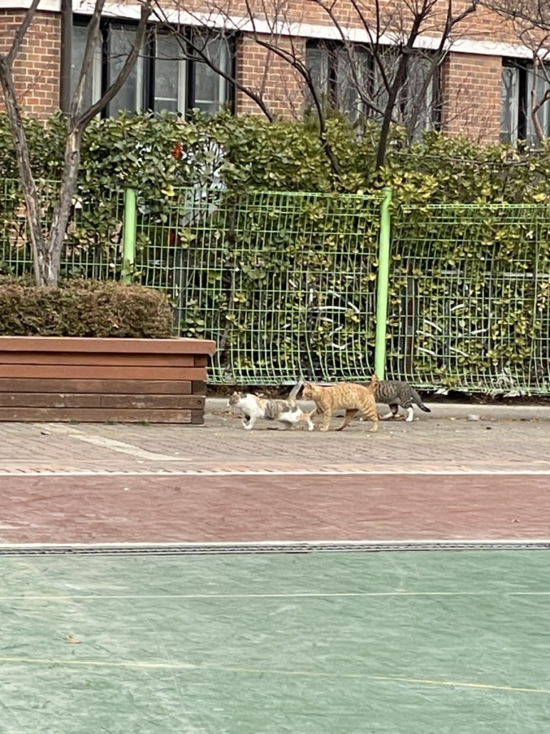 안산고속주유소 이미지