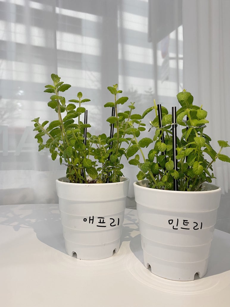 유캔두잇청주 이미지