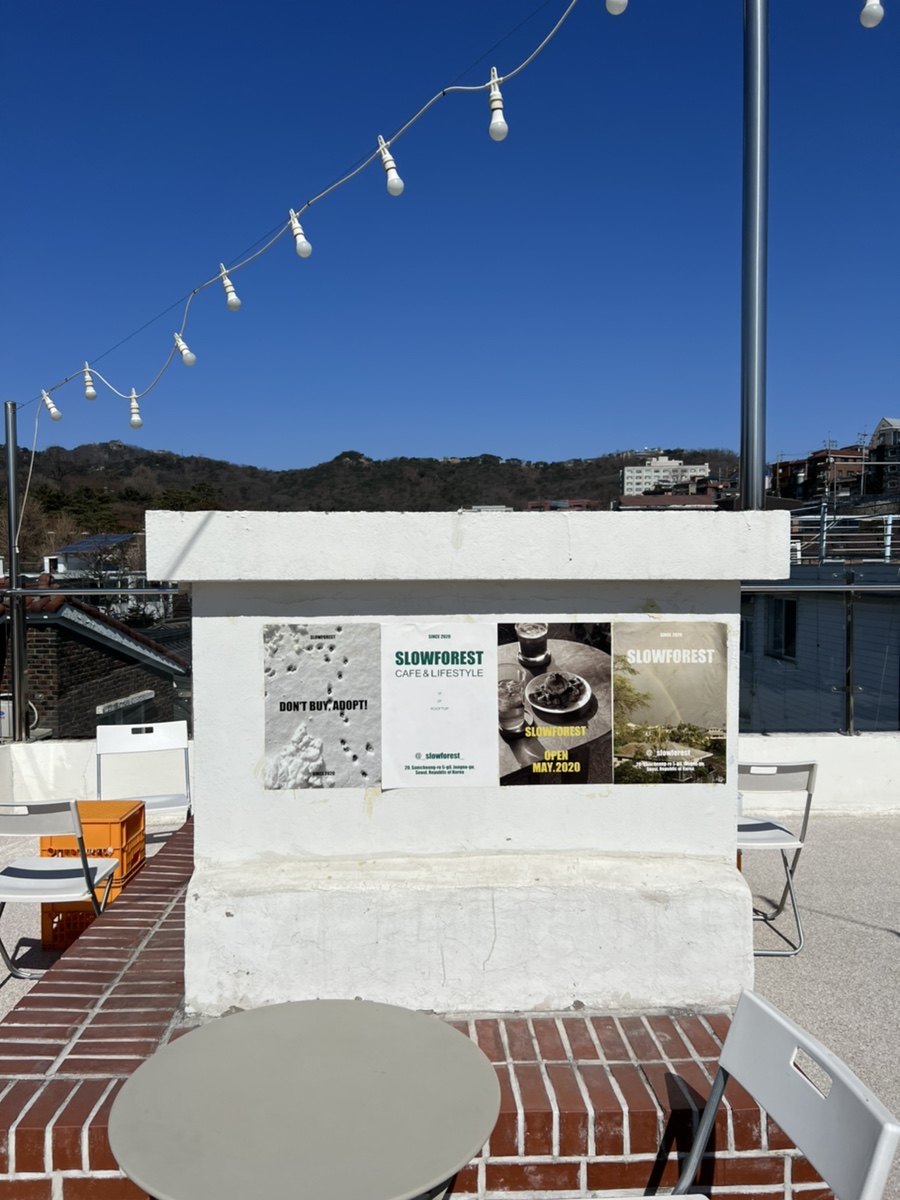 슬로우포레스트 이미지