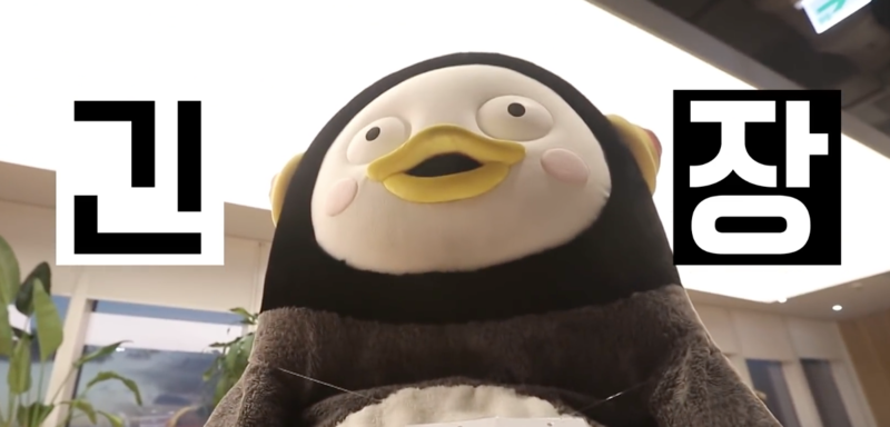 눈썹함다 이미지