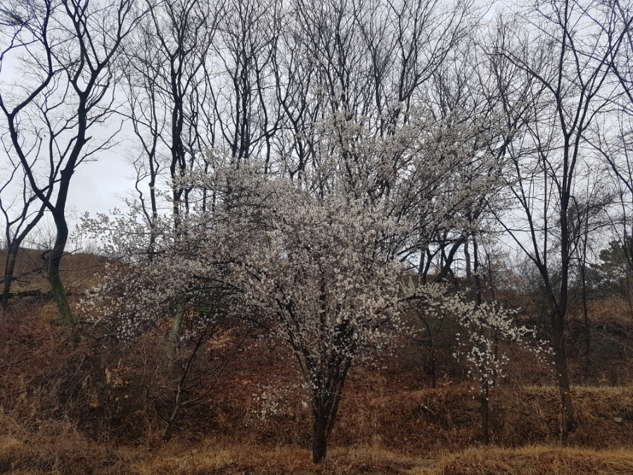 보통이용소 이미지