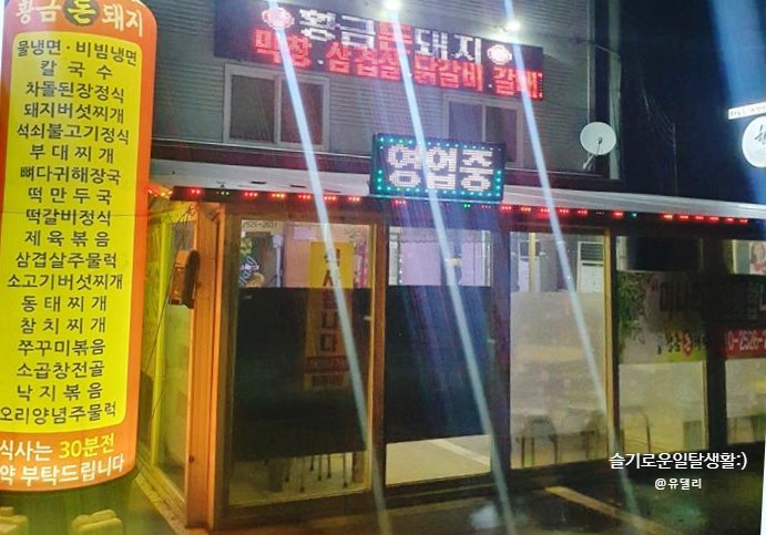 황금돈돼지 이미지