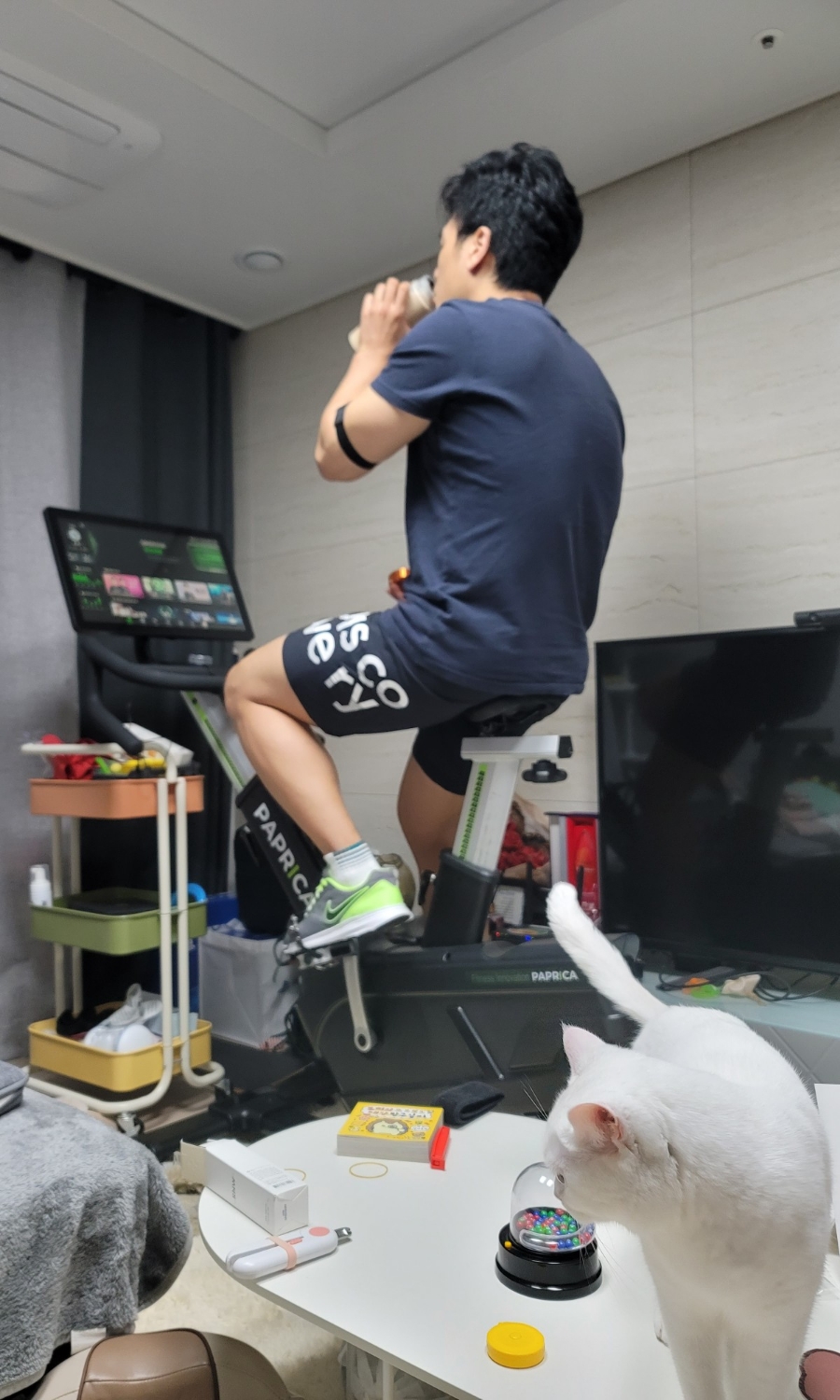에버피씨 이미지