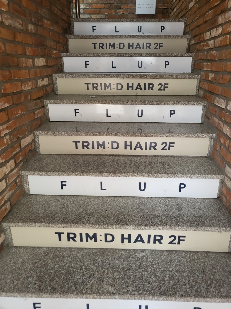 FLUP(플럽) 이미지