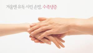 폴리체 이미지