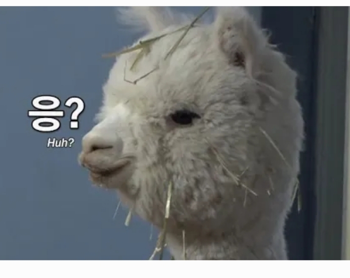 지나살롱 이미지