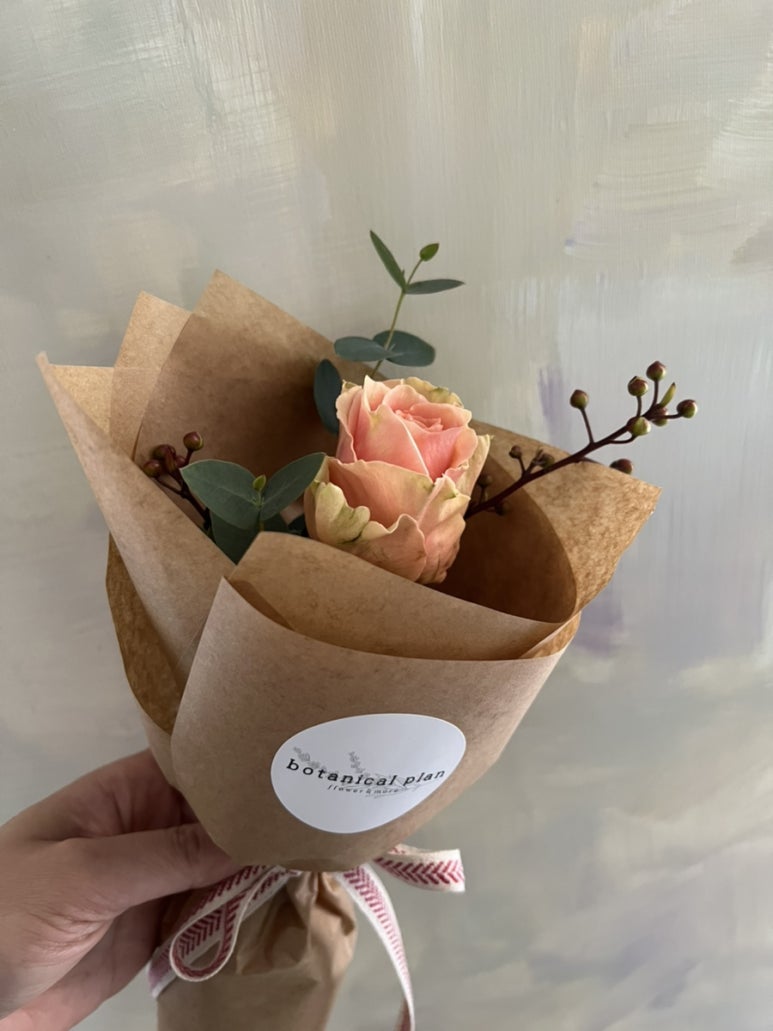 보태니컬 플랜(Botanical Plan) 이미지