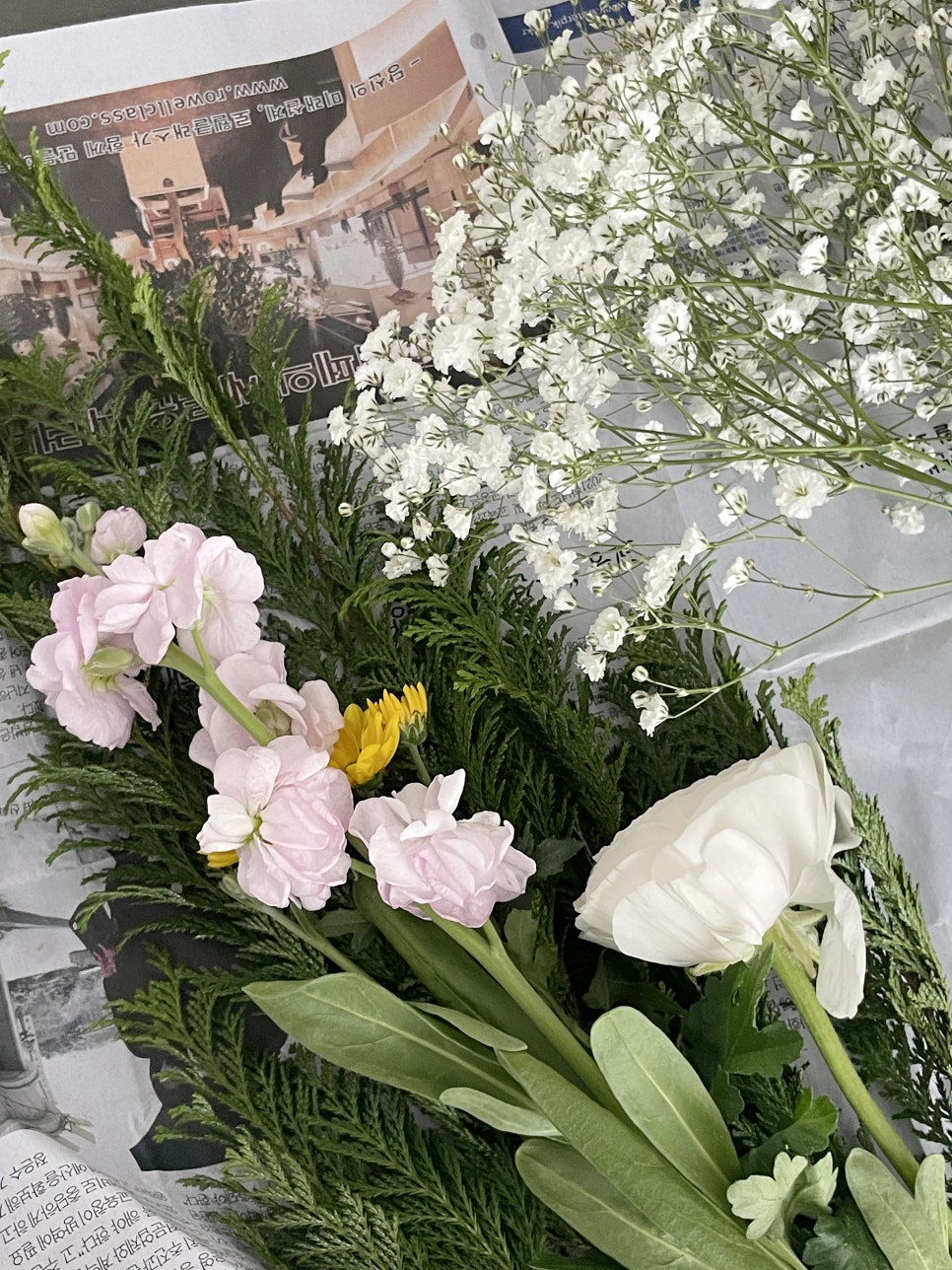 동보화원 이미지