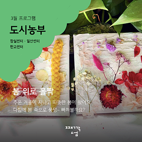 도시달팽이 이미지