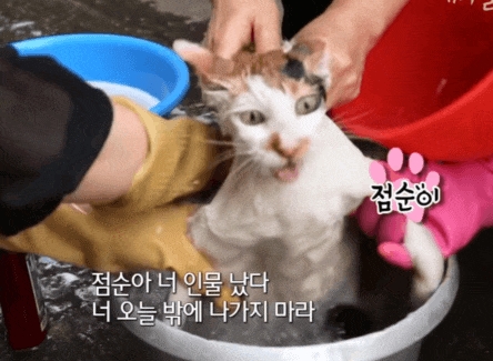 듀오프리미엄셀프세차장 이미지