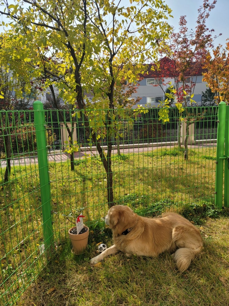 더 만나 이미지