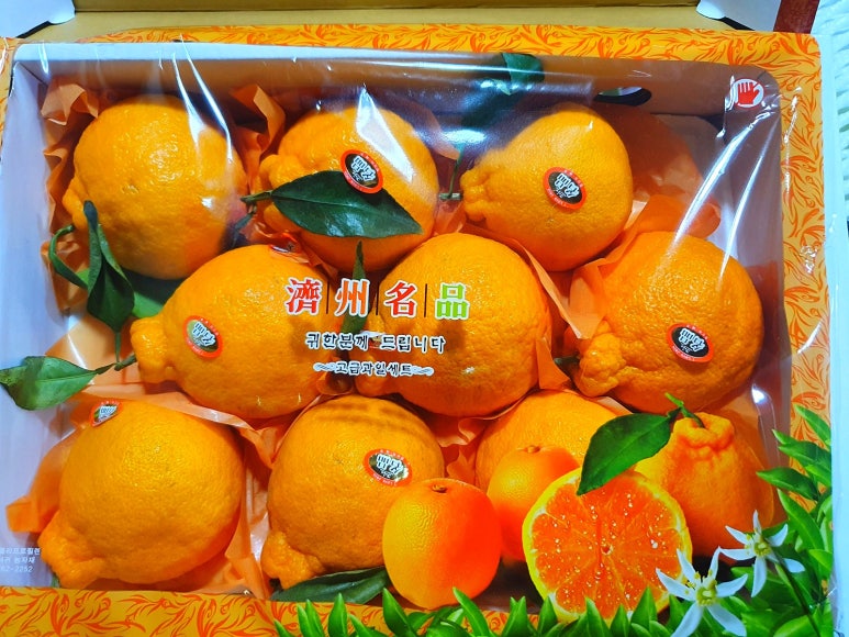 과일사랑 이미지