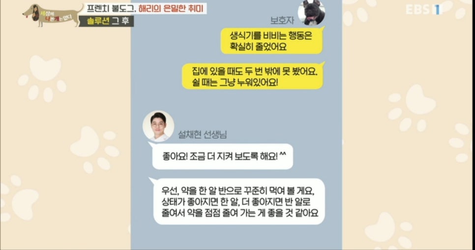해리솔루션 이미지