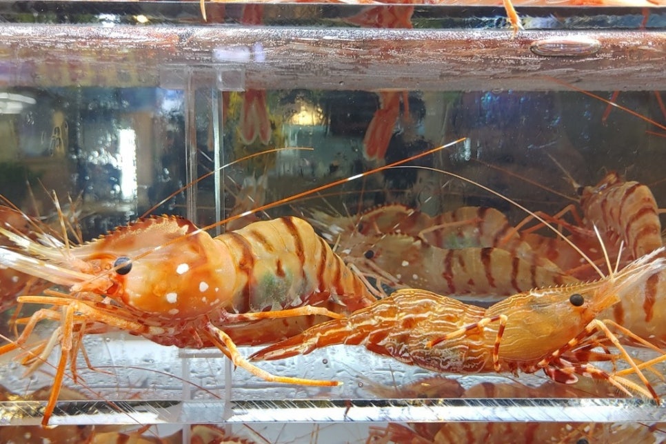 시민명가 이미지